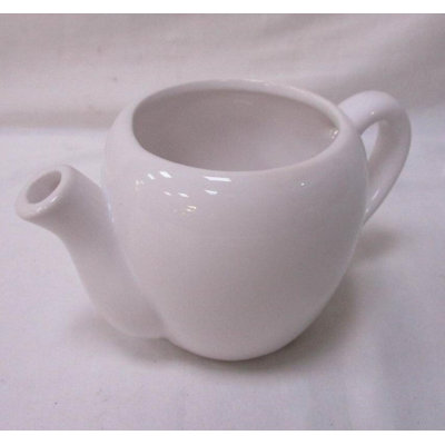 Teapot Shaped Planter