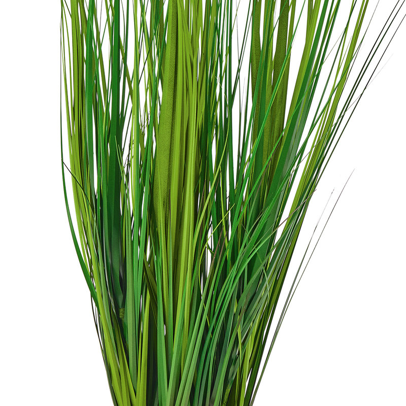 Herbe à pales UV 48 po, 48 po x 13 po