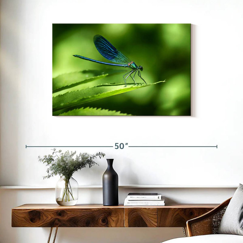 Brampt Dragonfly On A Leaf