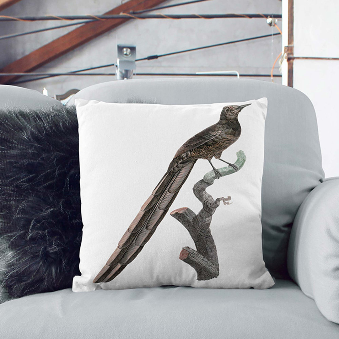A Magpie Bird of Paradise by Jacques Barraband Cushion with Filling