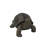 Tortoise Statue