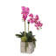 Real Touch Orchid Floral Arrangements in Pot