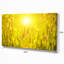 «Yellow Grass Flower at Sunset», reproduction de photo sur toile tendue-1675687615
