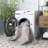 Vintage Heriz 600 Performance Machine Washable Oriental; Vintage Look Indoor Rug-117806718