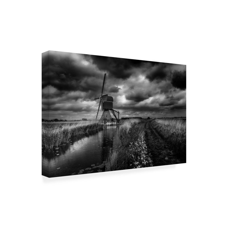 Art sur toile Michiel Hageman, H 12 po x l 19 po