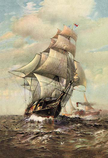 James G. Tyler - Unframed Print, 42" H x 28" W x 1.5" D