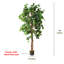 Faux ficus en pot-1915798491