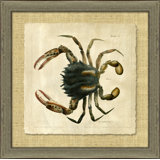 Antique Crackled Crab I Painting