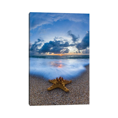 Starfish Sea Foam by Sean Davey - Print on Canvas