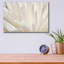 "Fleur blanche" par PhotoINC Studio-349524173