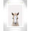 Baby Horse 1, impression sur papier-47495712-47487748