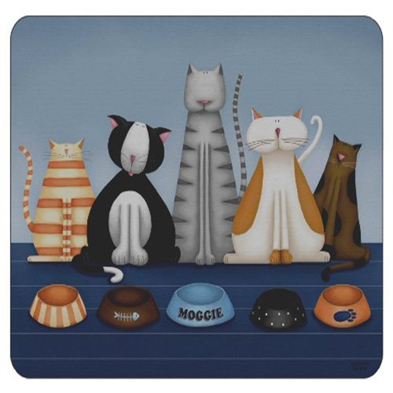Bachmann Polypropylene Plastic Placemat And Coaster Set
