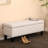 Upholstered Storage Bench, Linen Button-tufted End of Bed Bench for Living Room, Bedroom-636717926