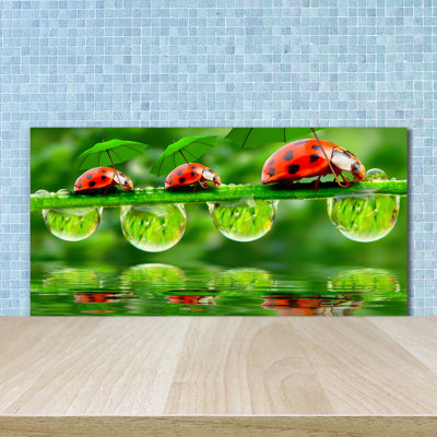 Lionella 50cm W x 100cm L Glass Peel and Stick Panel