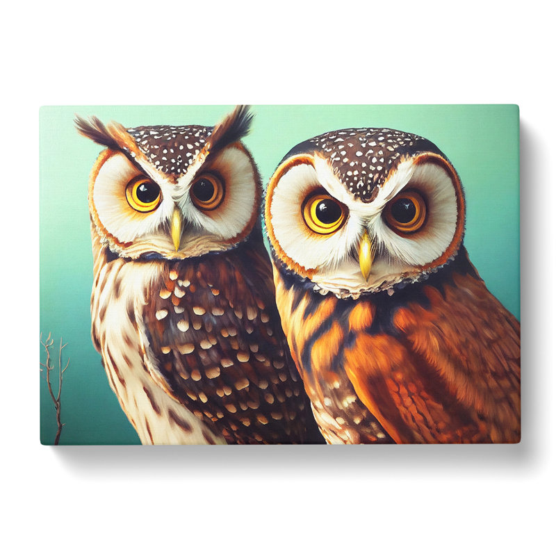 Curious Owls - Wrapped Canvas, 40cm H x 60cm W x 3cm D