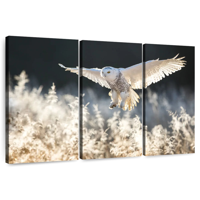 Chasse au hibou des neiges, H 32 po x l 50 po