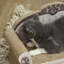 Scratching Post