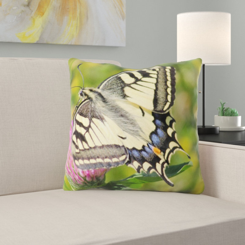 Coussin décoratif papillon machaon