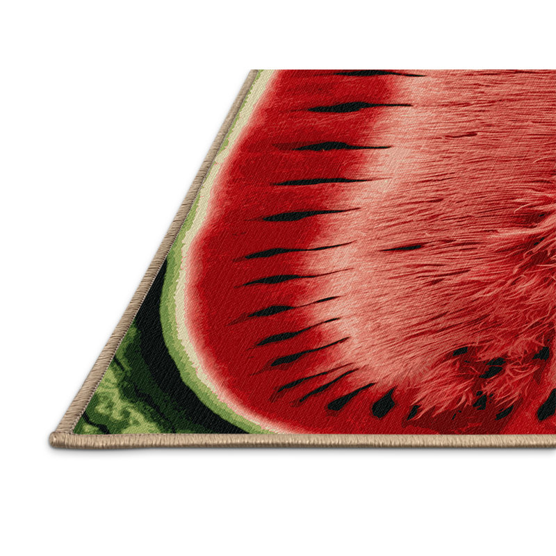  Tapis lavable sans pépins de melon d'eau, Tapis de couloir 2 pi x 4 pi