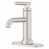 Spot Defense Brushed Nickel is out of stock