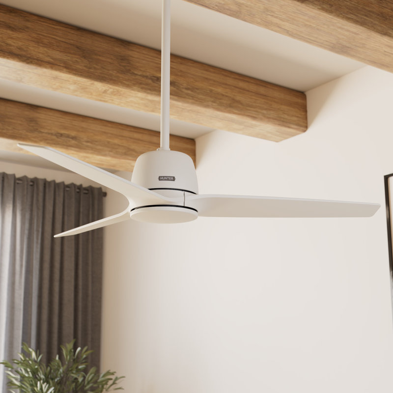 52" Jasmine Roth 3 - Blade Standard Ceiling Fan with Remote, Matte White