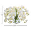 Phalaenopsis Orchid In Glass