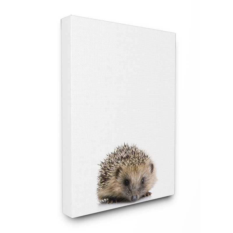 Art sur toile Greggs Baby Hedgehog Studio, H 20 po x l 16 po x P 1,5 po