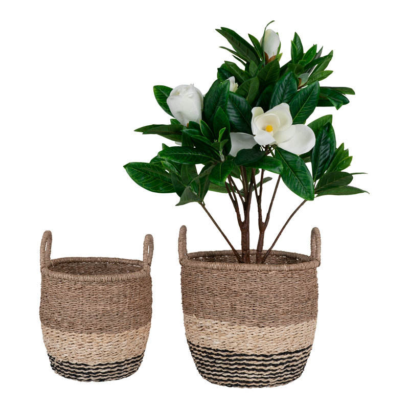 Bay Isle Home Seagrass Box