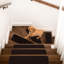 Tapis d'escalier Arturas-1218175049