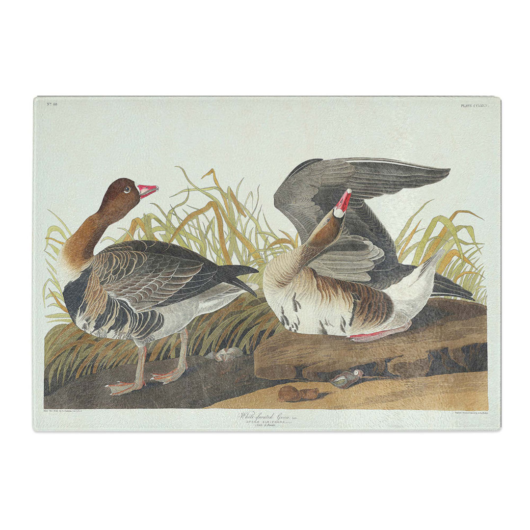 Tempered Glass Goose by John James Audubon Chopping Board