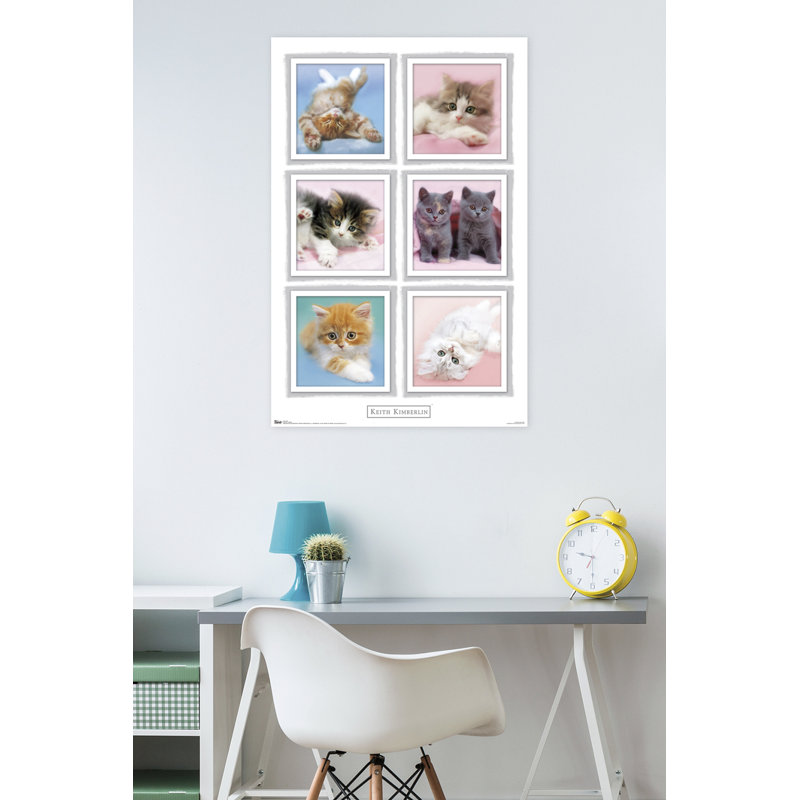 Impression sur papier kimberlin-chatons