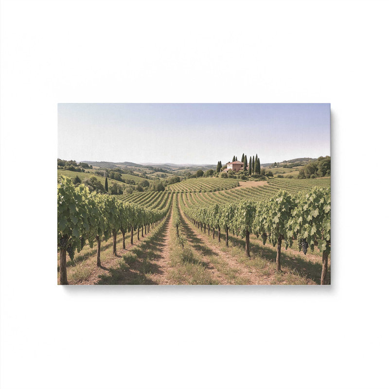 Sunlit Tuscan Vines, reproduction sur toile, 32 po x 48 po, Toile tendue