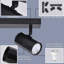 Maudine 2-Light 26cm Ceiling Spotlight