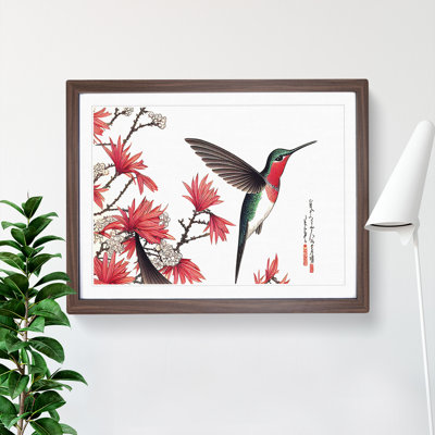 Japanese Hummingbird - Single Picture Frame Print