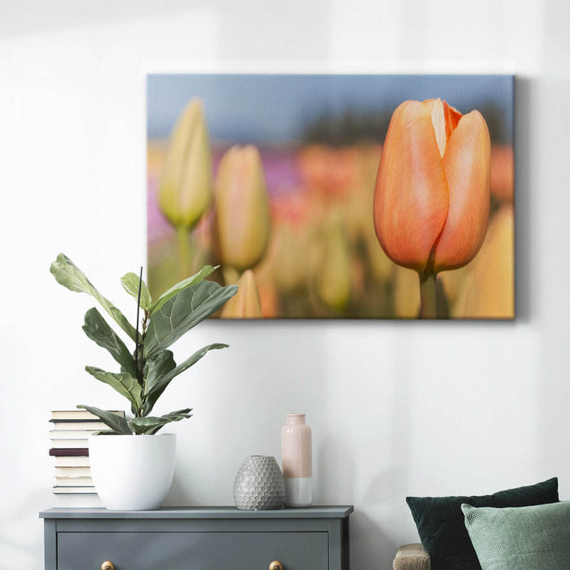 Ouverture sur la toile tendue Sun-Gallery, H 32 po x l 48 po