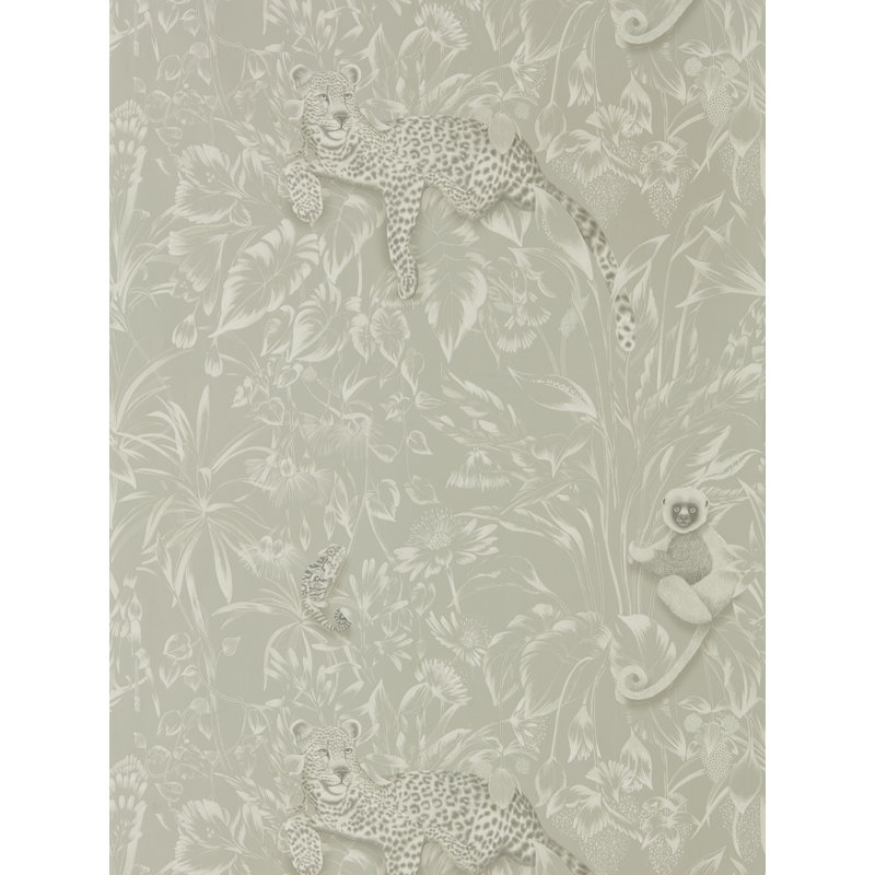 Lengau Wallpaper, Oyster