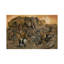 Noah's Ark 1 Piece Wrapped Canvas Painting-1957765207