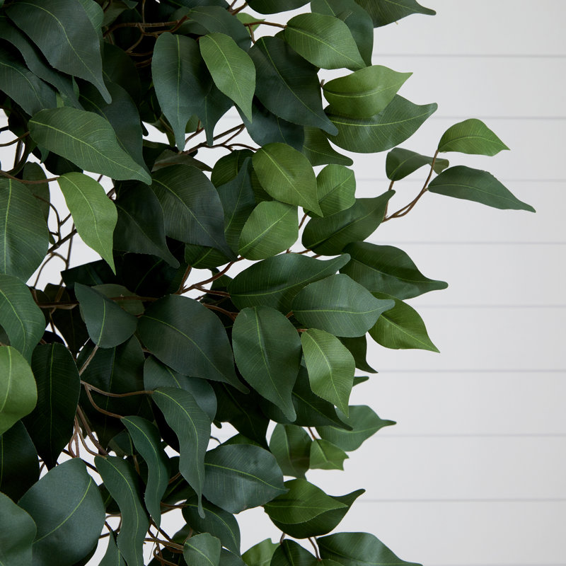 9 pi Ficus artificiel