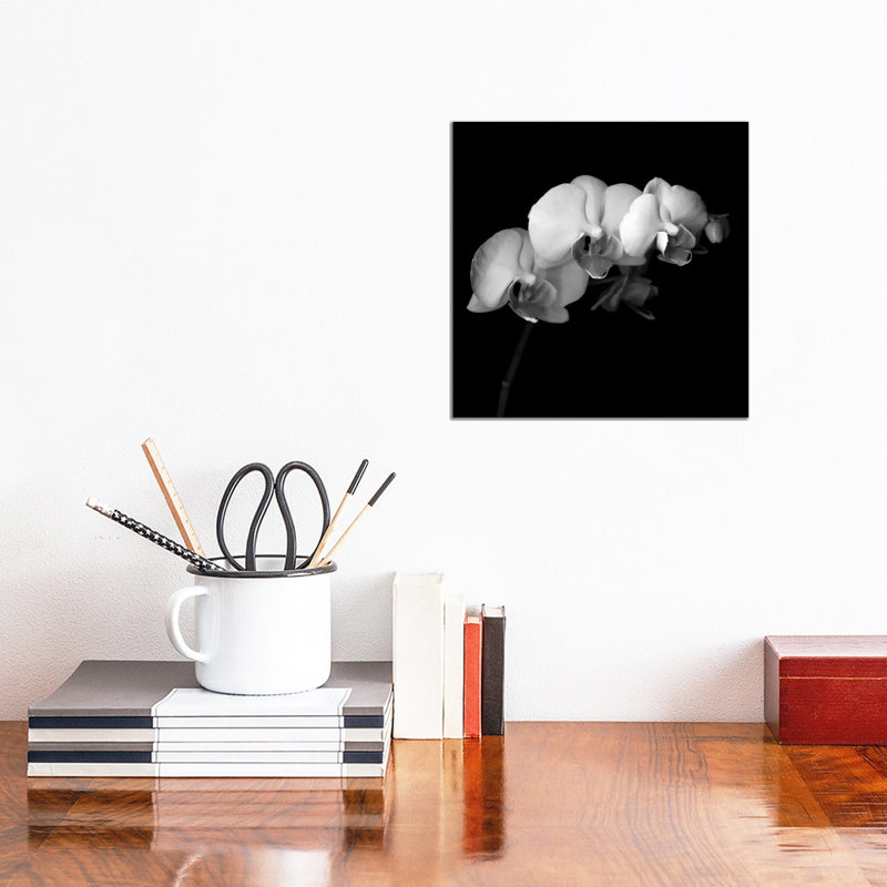 Easter Orchid V, B&W by Magda Indigo - Wrapped Canvas Print, 30.48 cm H x 30.48 cm W