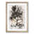 Oak Framed