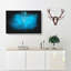 Lone Dolphin - Wrapped Canvas-56648070