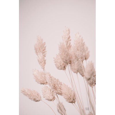 " Wistful Neutral " by Nathan Larson