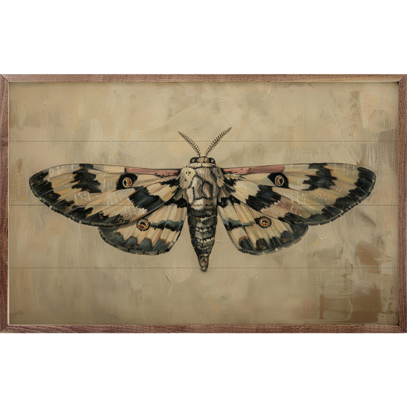 Antique Moth By Petals Prints Design, H 5 po x l 8 po