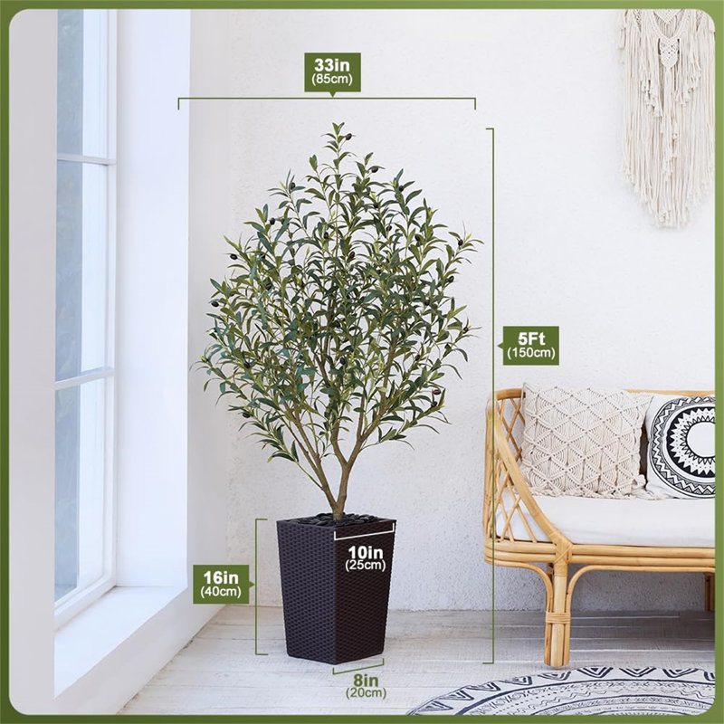 152.5cm Tree