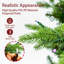 Arbres de noël