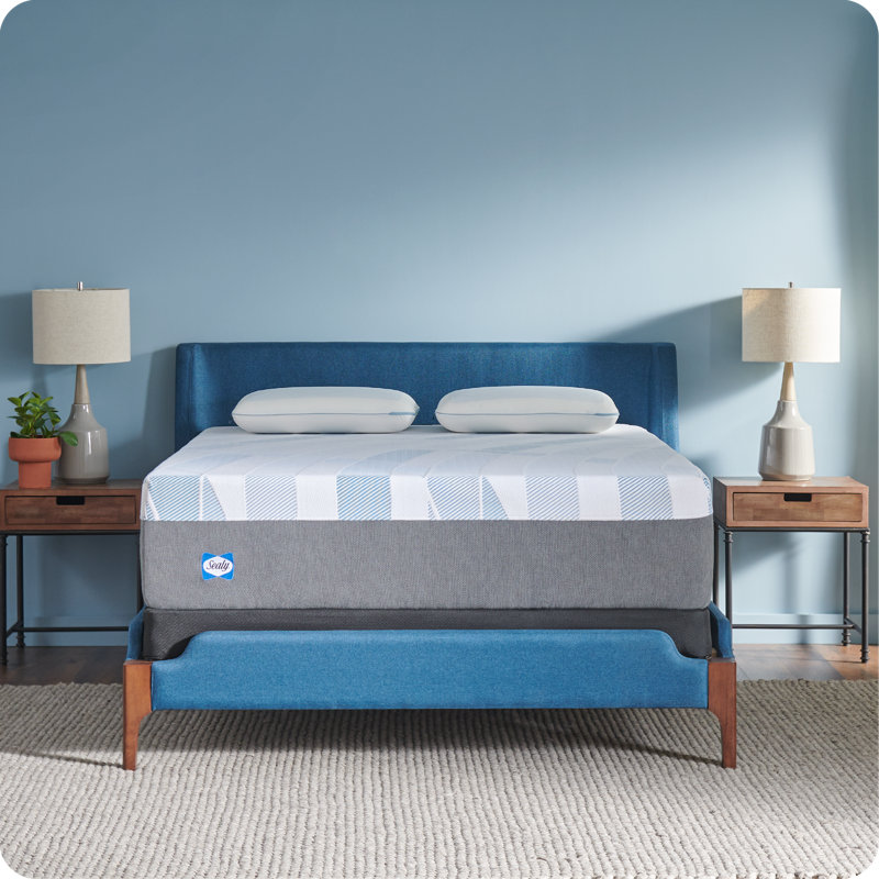 Sealy Dreamlife 14” Plush Hybrid Mattress-in-a-Box, Twin XL
