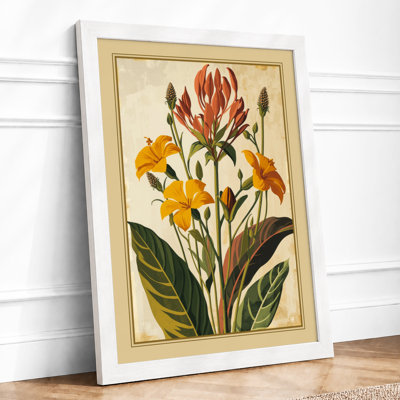 Protea Study Botanical - Framed Print