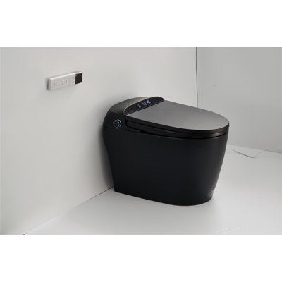 Creationstry GPF Elongated Floor Mounted Bidet Toilet (Seat Included)