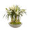 ORCHID CYMBIDIUM IN PLANTER