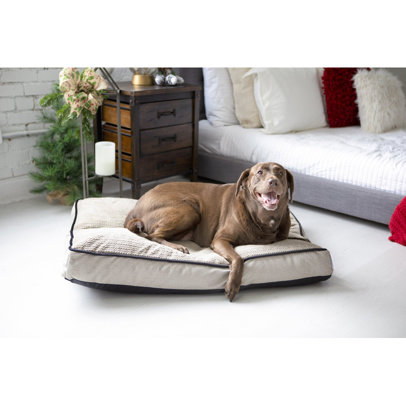 Lit pour chien La-Z-Boy, H 4 po x l 36 po x P 27 po, Blanc